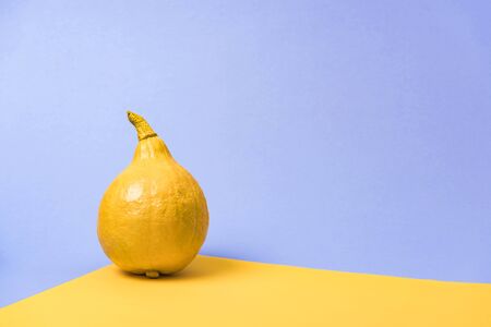 yellow painted pumpkin on violet and yellow backgroundの写真素材