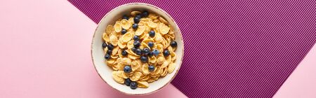 top view of bowl with breakfast cereal and blueberry on purple and pink background, panoramic shotの写真素材