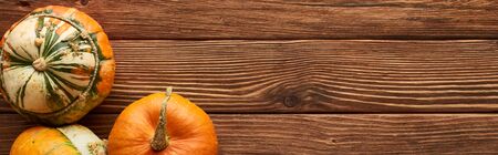 panoramic shot of raw pumpkins on brown wooden surfaceの写真素材