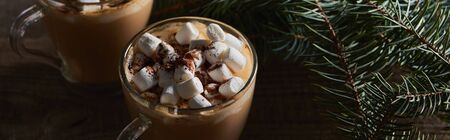 panoramic shot of cacao with marshmallow and cacao powder in mugs near pine branches on wooden tableの写真素材