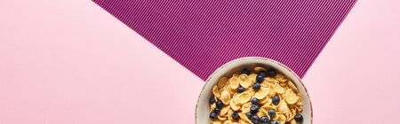 top view of bowl with breakfast cereal and blueberry on purple and pink background, panoramic shotの写真素材