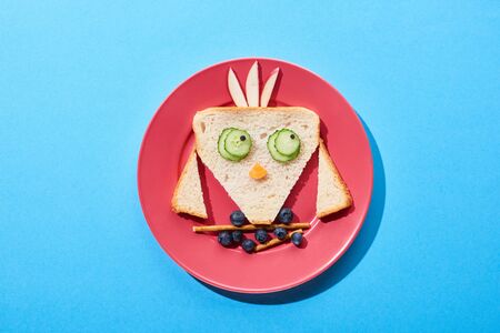 top view of plate with fancy bird made of food for childrens breakfast on blue backgroundの写真素材