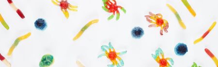 top view of colorful gummy spiders and worms isolated on white, Halloween treatの写真素材