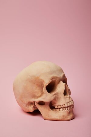 spooky human skull on pink background, Halloween decorationの写真素材