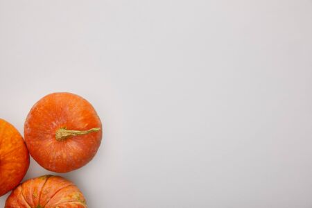 top view of pumpkin on white background with copy space, Halloween decorationの写真素材