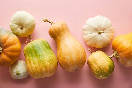 ripe whole colorful pumpkins on pink backgroundの写真素材