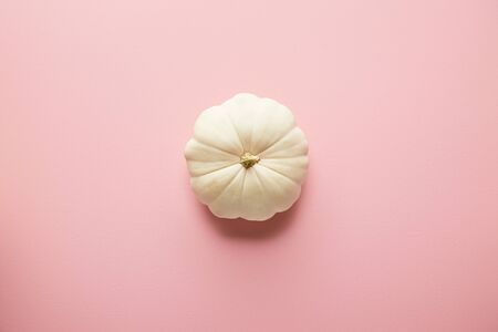 ripe whole white pumpkin on pink backgroundの写真素材
