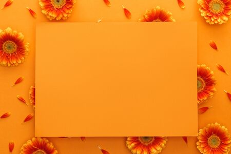 top view of gerbera flowers and empty card on orange backgroundの写真素材