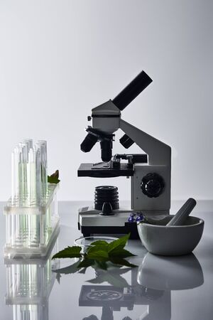 glass test tubes, mortar with pestle near plants and microscope on grey backgrondの写真素材