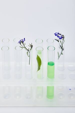 glass test tubes with liquid near plants isolated on whiteの写真素材