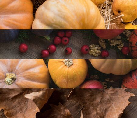 collage of ripe pumpkins and dry autumnal leaves, Thanksgiving decorationの写真素材