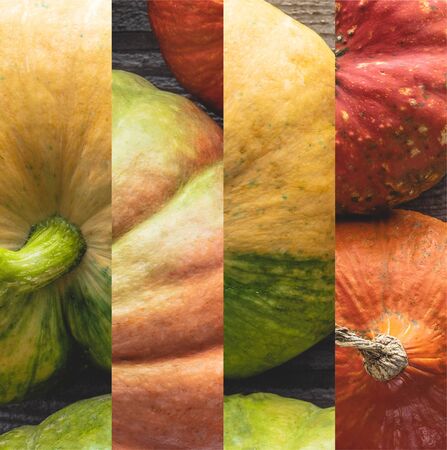 collage of ripe orange and green natural pumpkin on wooden tableの写真素材