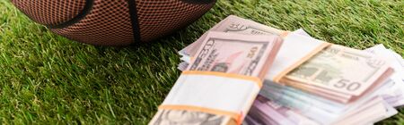 panoramic shot of euro and dollar banknotes on green grass, sports betting conceptの写真素材