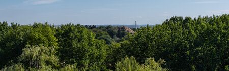 Trees with green foliage and blue sky at background, panoramic shotの写真素材