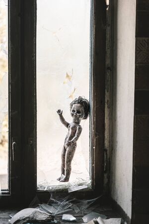 burnt baby doll near broken window and glass, post apocalyptic conceptの写真素材