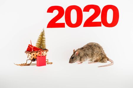numbers 2020, rat and wicker sled with christmas gift and christmas tree on white backgroundの写真素材