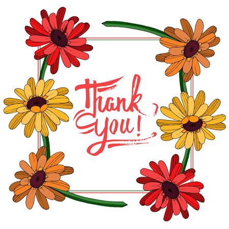 Vector Gerbera floral botanical flower. Wild spring leaf wildflower isolated. Black and white engraved ink art. Frame border ornament square on white background.のイラスト素材