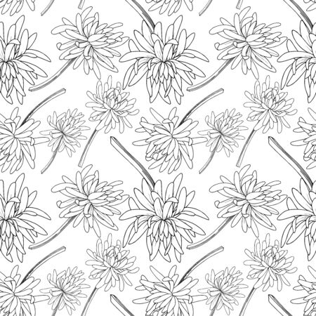 Vector Chrysanthemum floral botanical flower. Wild spring leaf wildflower isolated. Black and white engraved ink art. Seamless background pattern. Fabric wallpaper print texture.のイラスト素材