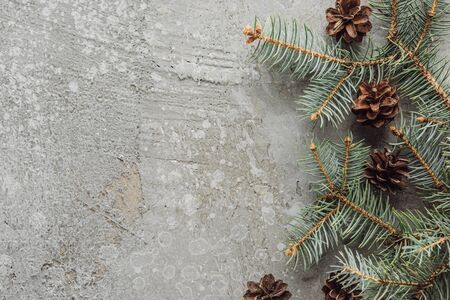top view of fir branches and dry cones on grey stone surfaceの写真素材