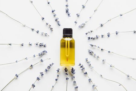 top view of bottle with natural oil in frame of dry lavender twigs with flowers on white backgroundの写真素材