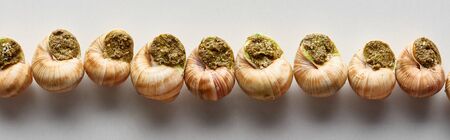 top view of delicious cooked escargots in row on white background, panoramic shotの写真素材