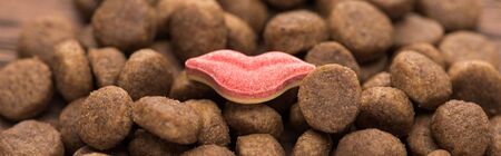 close up view of dry pet food in lips shape, panoramic shot