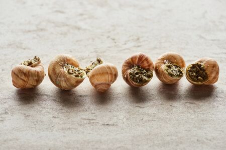 delicious gourmet escargots in row on stone backgroundの写真素材