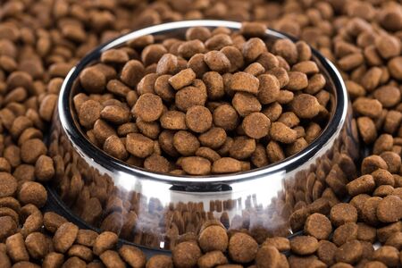 dry pet food in silver bowl and around