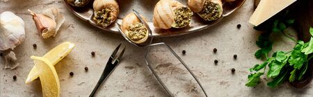 top view of delicious cooked escargots with lemon slices, parsley, black peppercorn and tweezers on stone background, panoramic shotの写真素材