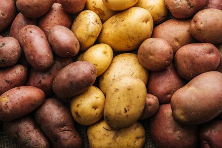 organic raw potatoes on white backgroundの写真素材