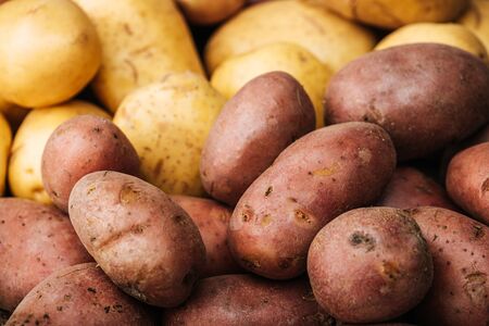 organic raw potatoes on white backgroundの写真素材