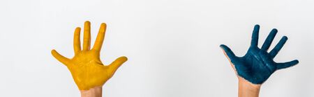 panoramic shot of kid with blue and yellow paint on hands isolated on whiteの写真素材