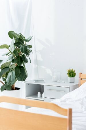 hospital ward with bed, plants and wooden table in clinicの写真素材