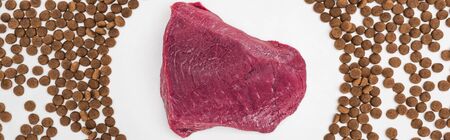 top view of dry pet food scattered around raw meat isolated on white, panoramic shot