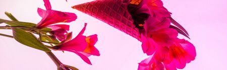panoramic shot of blooming flowers in ice cream cone isolated on pinkの写真素材