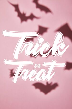 shadow of flying bats on pink background with trick or treat illustrationの写真素材
