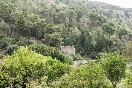 green trees near ancient house in modica, italy