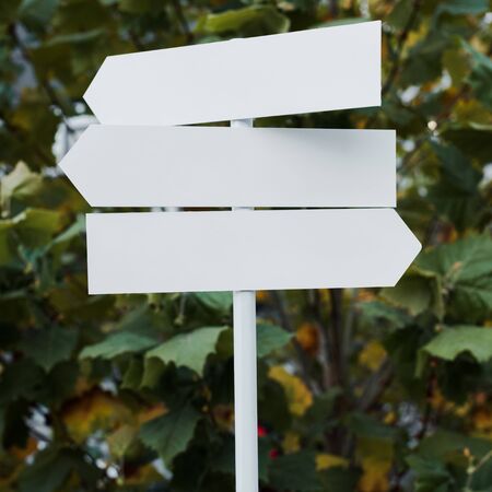 close up of white and empty directional arrows near bush with green leaves