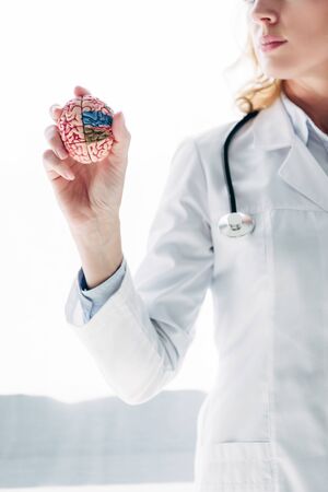 cropped view of doctor in white coat holding model of brain in clinicの写真素材