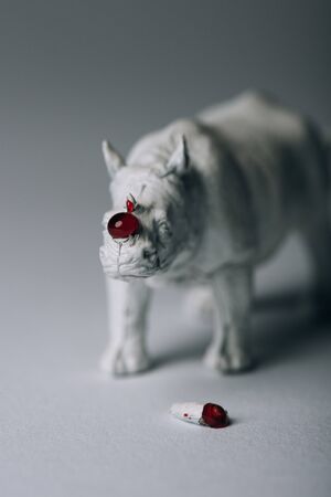 Horn with blood and toy rhinoceros on grey background, hunting for horn conceptの写真素材