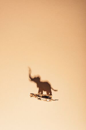 Top view of golden toy elephant with shadow on yellow background, extinction of animals conceptの写真素材