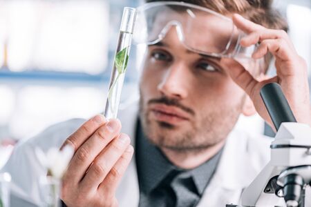 selective focus of handsome biochemist touching goggles and looking a test tube with green plantの写真素材