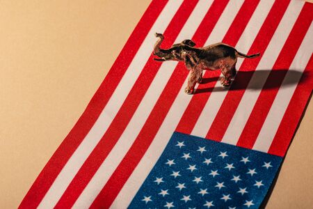 Golden toy elephant with shadow on american flag, animal welfare conceptの写真素材