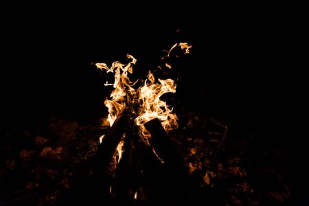 logs burning in camp fire in darkness の写真素材
