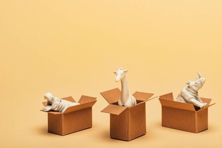 White toy hippopotamus, rhinoceros and giraffe in cardboard boxes on yellow background, animal...