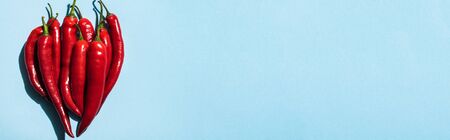 Top view of ripe chili peppers on blue background with copy space, panoramic shotの写真素材