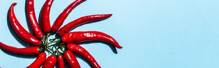 Top view of chili peppers in circle shape on blue background, panoramic shot