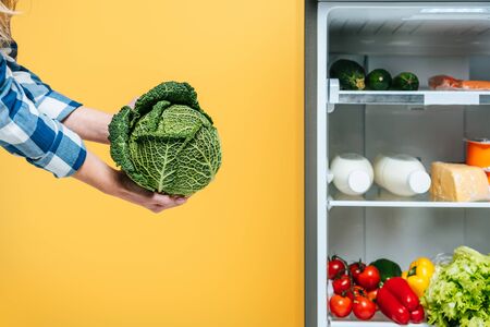 cropped view of woman holding cabbage near open fridge with fresh food on shelves Isolated On yellowの写真素材