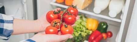 cropped view of woman holding tomatoes near open fridge with fresh food on shelves, panoramic shotの写真素材
