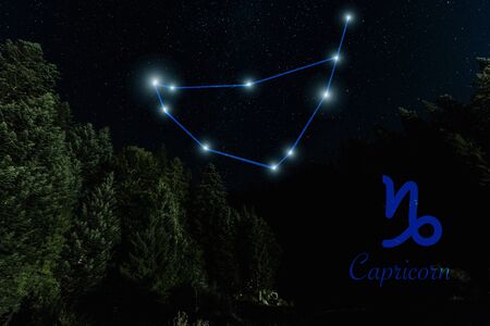 dark landscape with night starry sky and Capricorn constellation